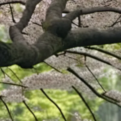 chat with ai character: Hogwarts