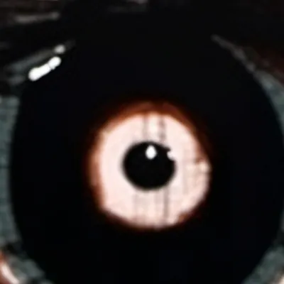 chat with ai character: seek