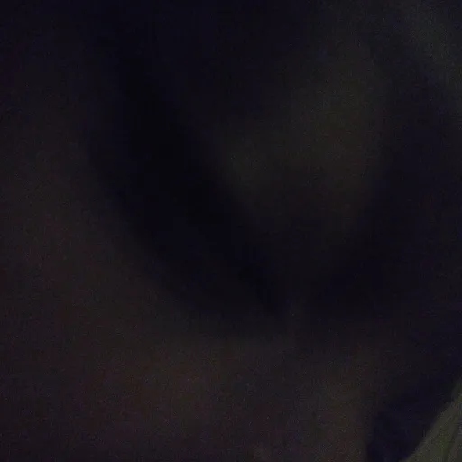 creator mj 50%'s avatar