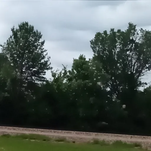 creator ★4shIen★'s avatar