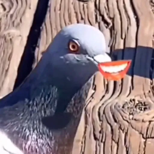 creator QueenUwUJuls's avatar