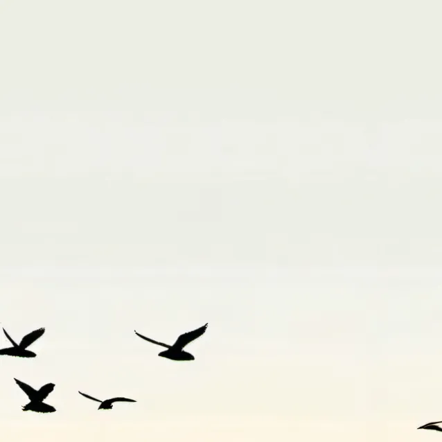 chat with ai character: SLBAF