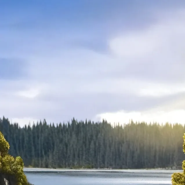 chat with ai character: httyd 