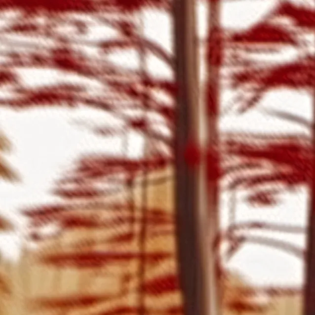 chat with ai character: Tate Mcrae