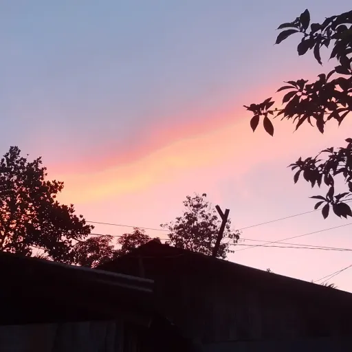 creator Talkior-46MM4avV's avatar