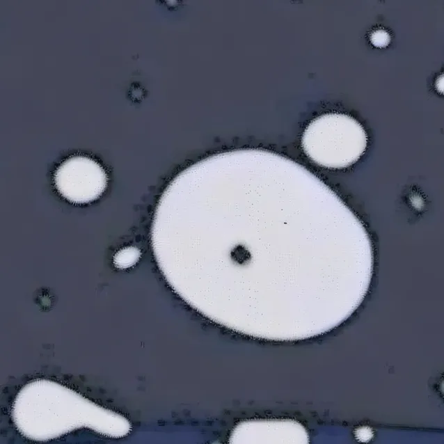 chat with ai character: Happy birthday!