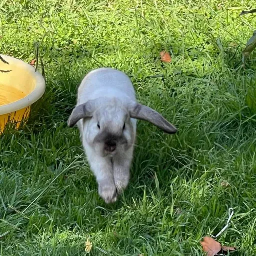 creator Cortney....'s avatar