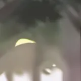 chat with ai character: ♡lily♡