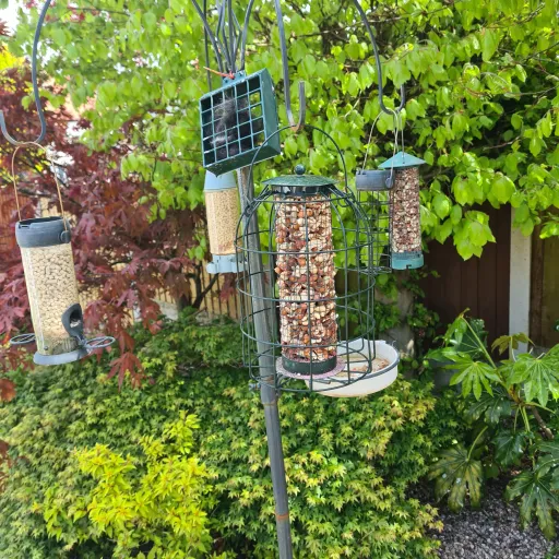 creator mygarden_life's avatar