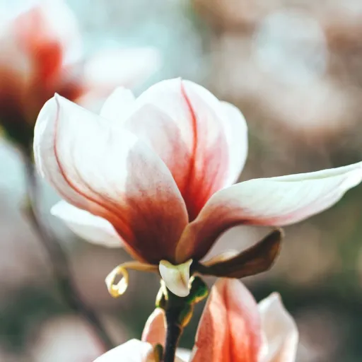 creator Jake._. //'s avatar