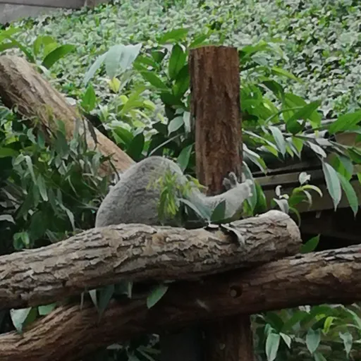 creator ~ 🎀🫶 Ella 🫶🎀 ~'s avatar