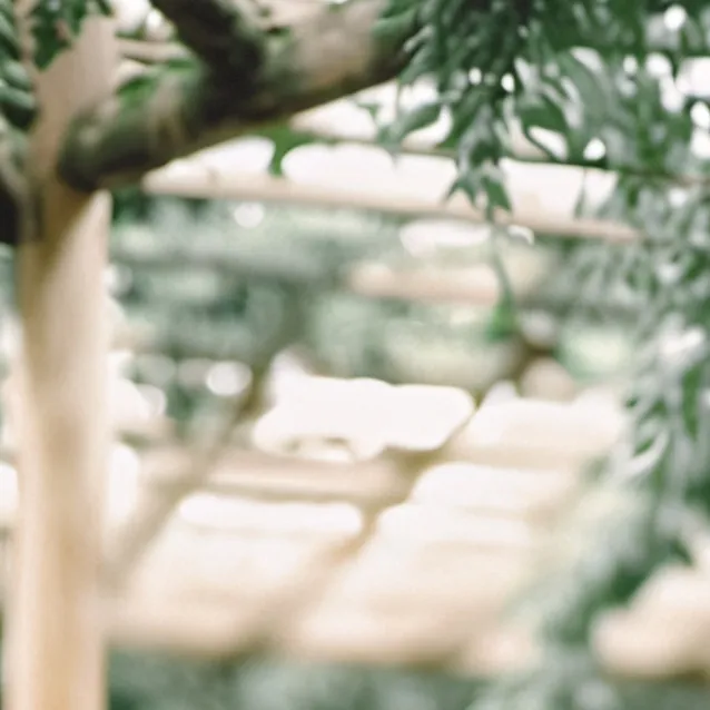 chat with ai character: Lick Lick