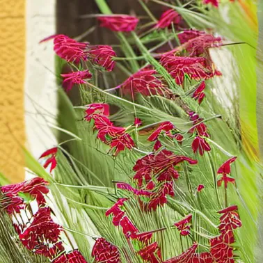 chat with ai character: Jacob melton