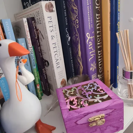 creator Fluffy Goose's avatar