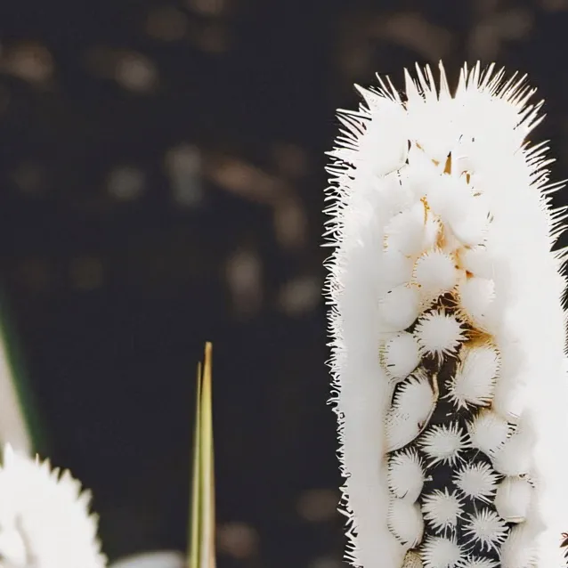 chat with ai character: scroll past me bud