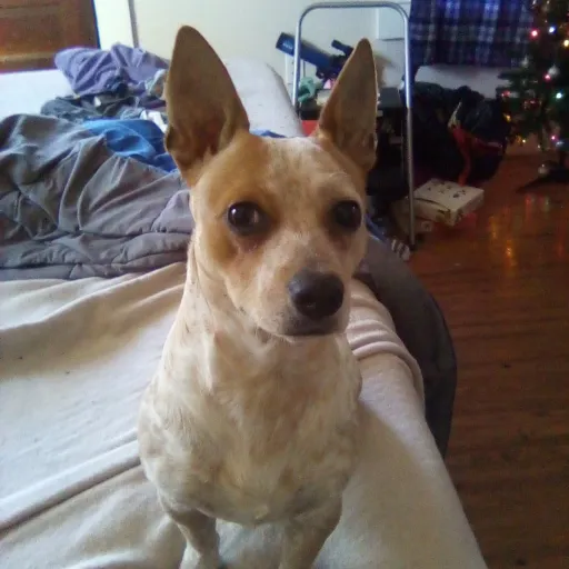 creator paw76's avatar