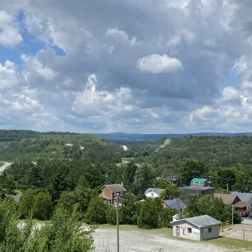 creator Babyygurl's avatar