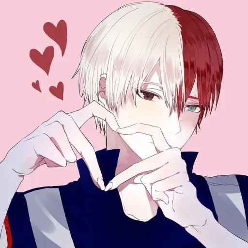 creator ❤️🤍🧊~Todoroki~🧊🤍❤️'s avatar