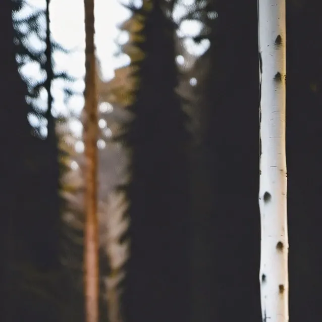 chat with ai character: grass