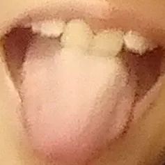 creator Ispeakforthetrees!'s avatar