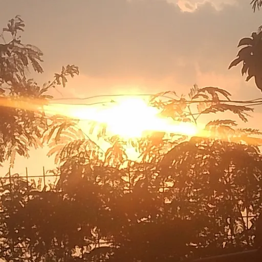 creator hanaki_yamado_real's avatar