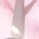 chat with ai character: Group of girls