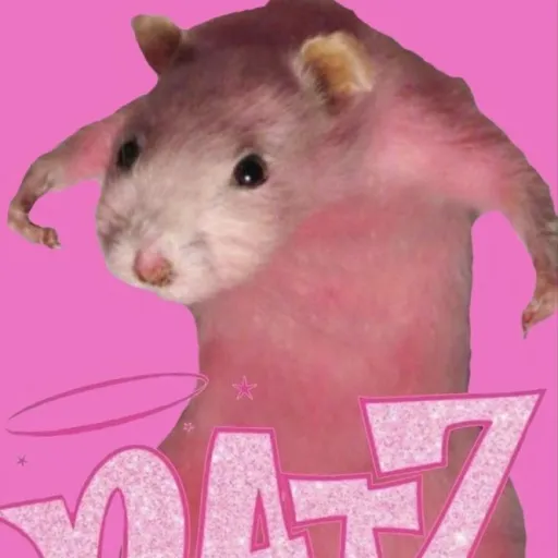 creator yourlocarat's avatar