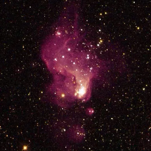 creator a_very_good_boi777's avatar