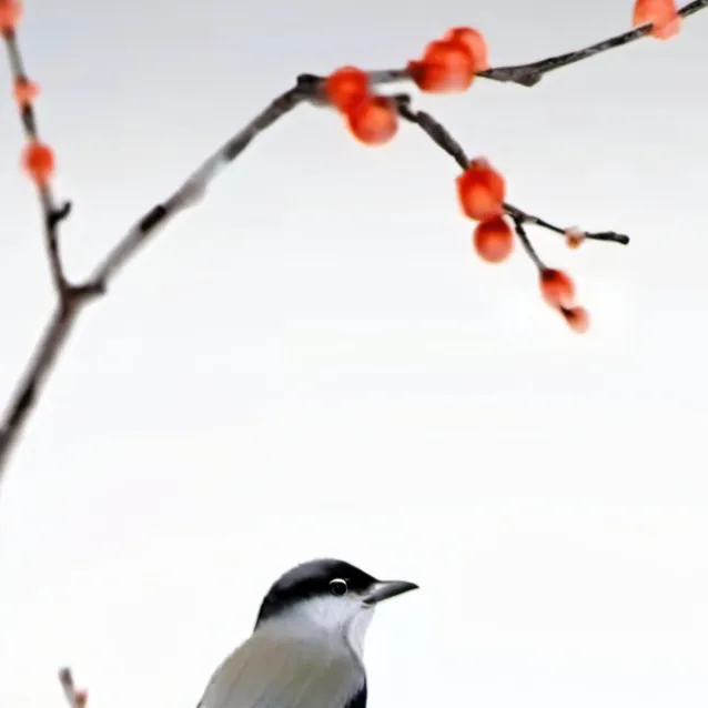 chat with ai character: adam and justin