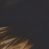 chat with ai character: Oh no 