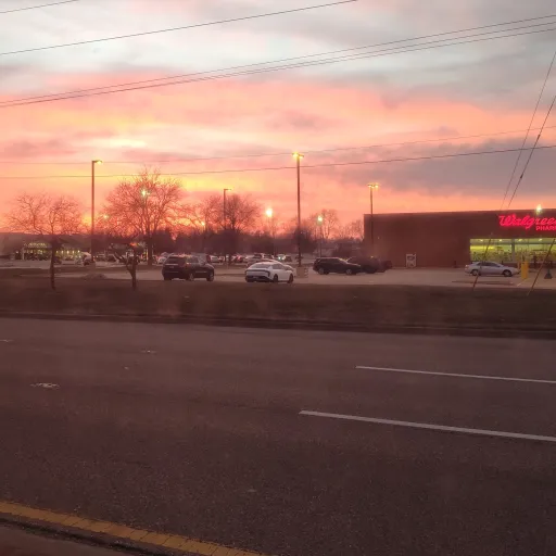 creator taz01's avatar