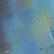 chat with ai character: Kucky