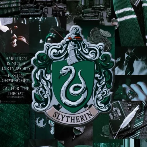 creator Slay diva 🧸's avatar