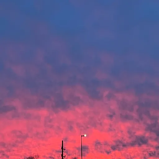 creator Spinkles's avatar