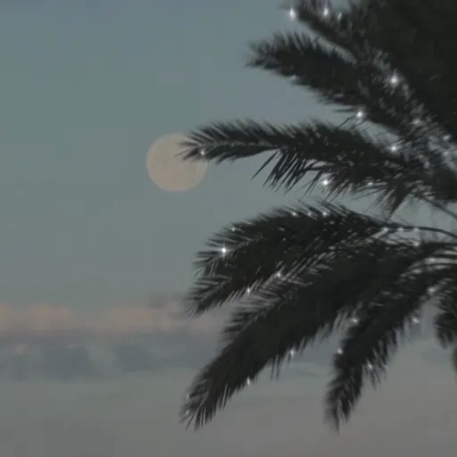 creator It’s ya gurll Mel's avatar