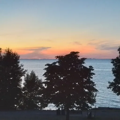 creator Techno_king 357476's avatar