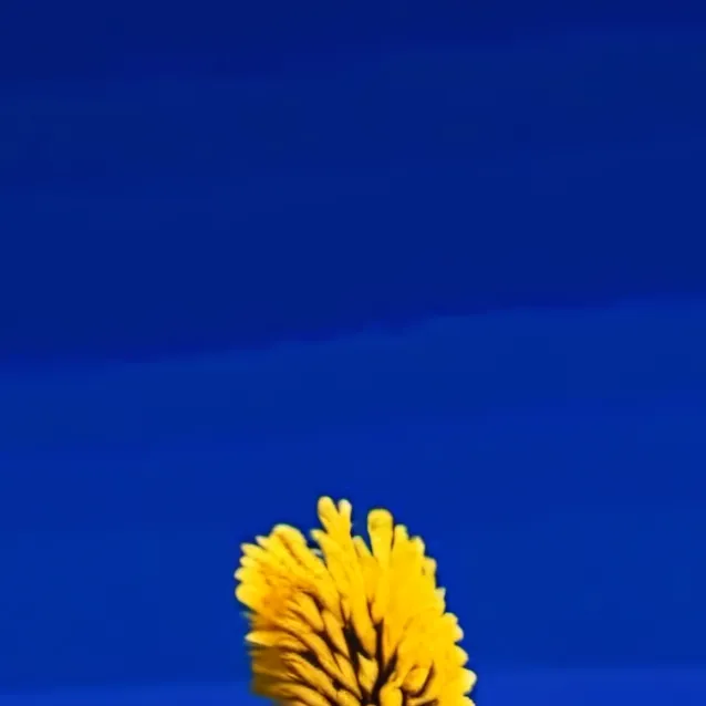 chat with ai character:  Wisconsin