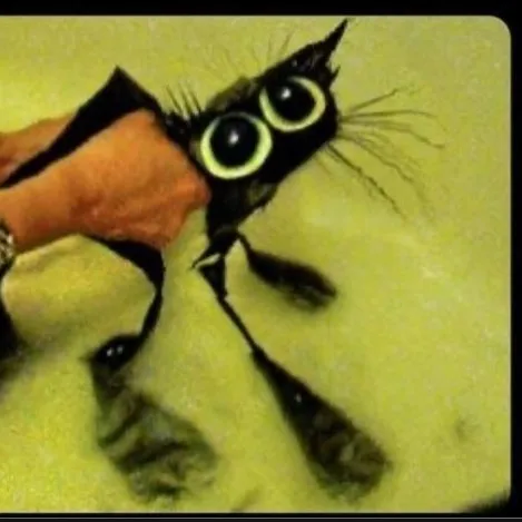 creator urlocalSkrunklyCat's avatar