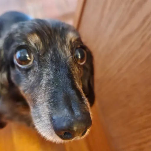 creator ○■□●♤♡◇♧☆¤'s avatar