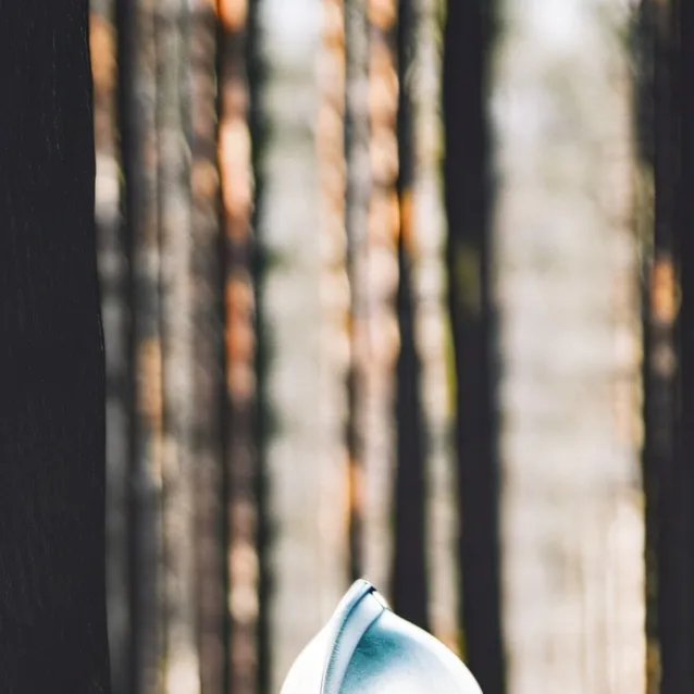 chat with ai character: hh party