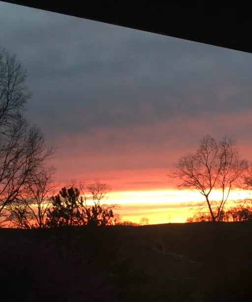 creator Mystery girl void's avatar