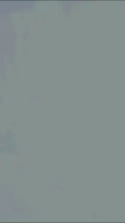 ai character: NYONY background