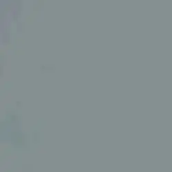 chat with ai character: NYONY