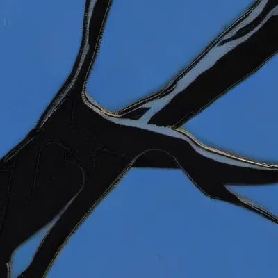 chat with ai character: Fight with Charlie