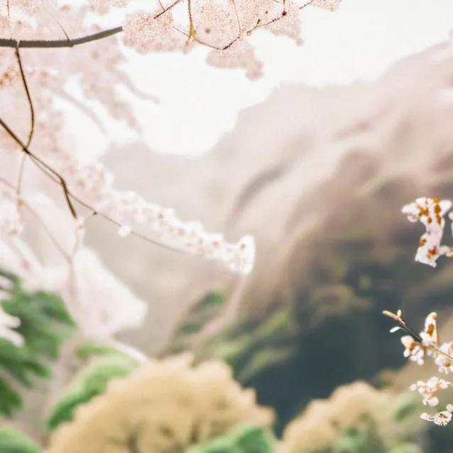 chat with ai character: holkuw