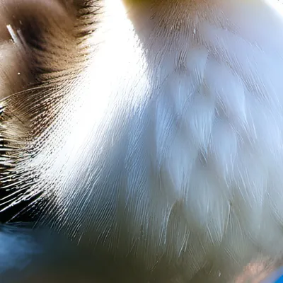 chat with ai character: You choose