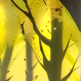 chat with ai character: Better-name