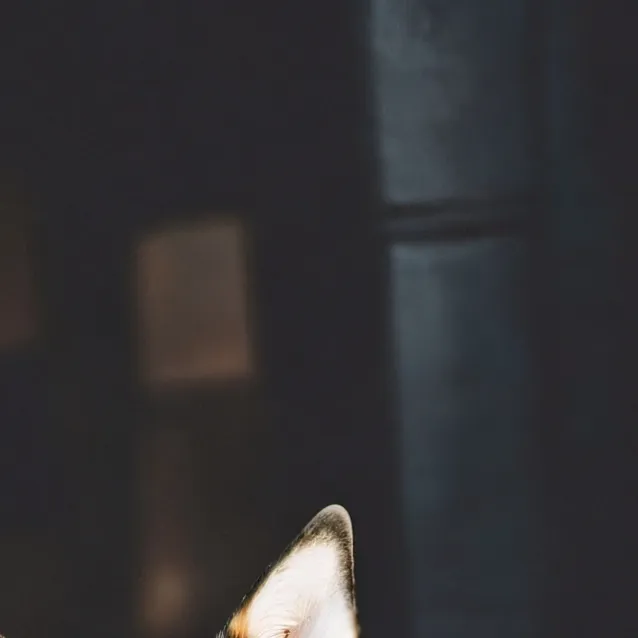 chat with ai character: Jersey And Kayah