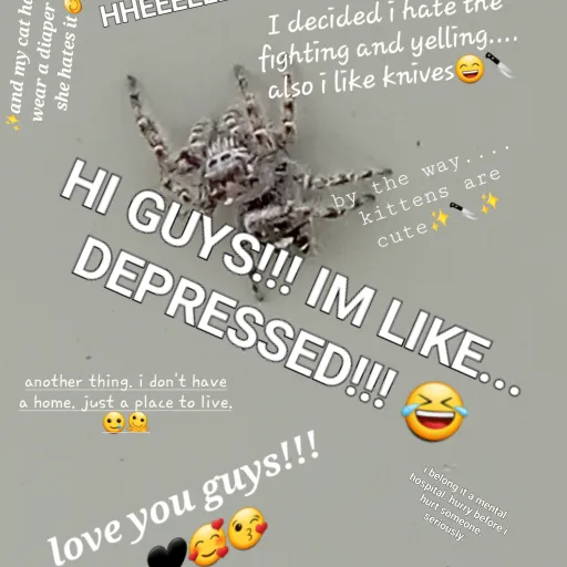 creator En-v_2's avatar