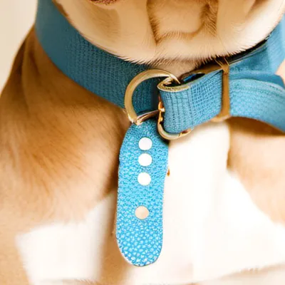 chat with ai character: 🕊️max🕊️